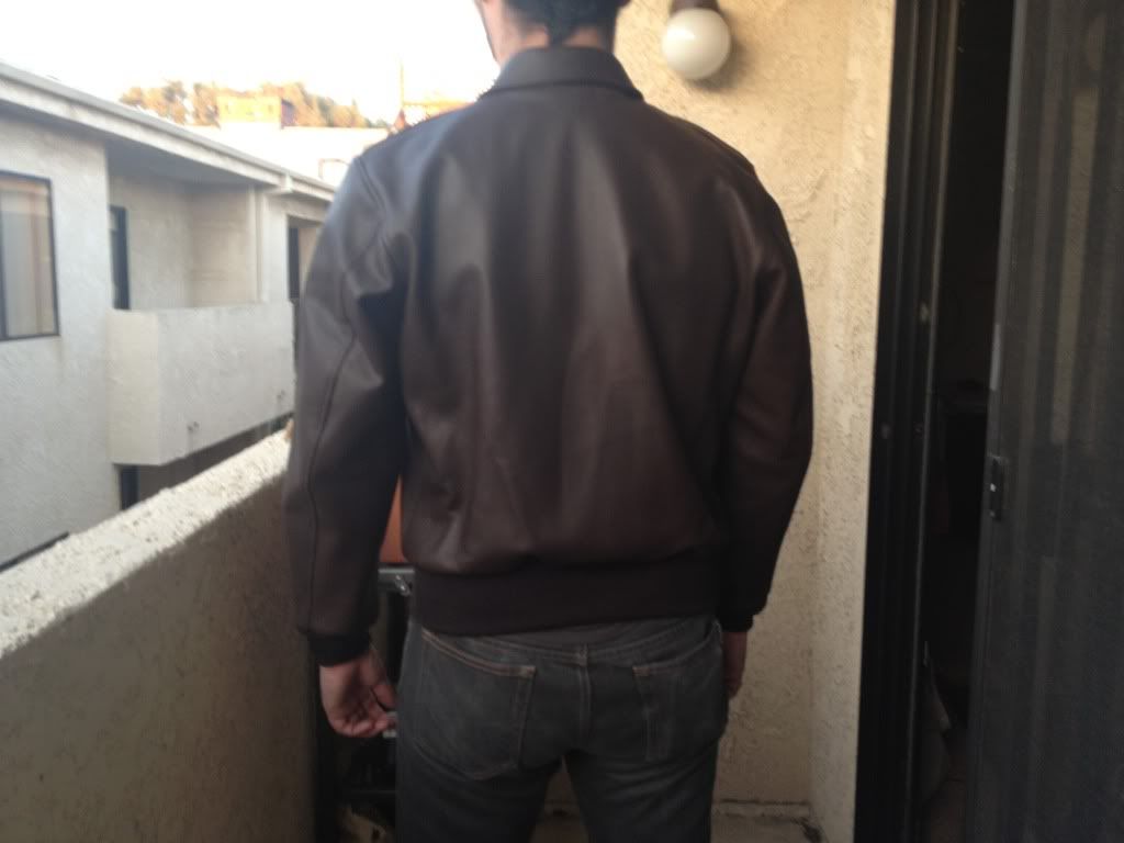 BackView.jpg