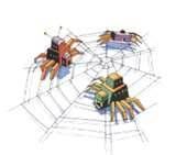Webcrawler