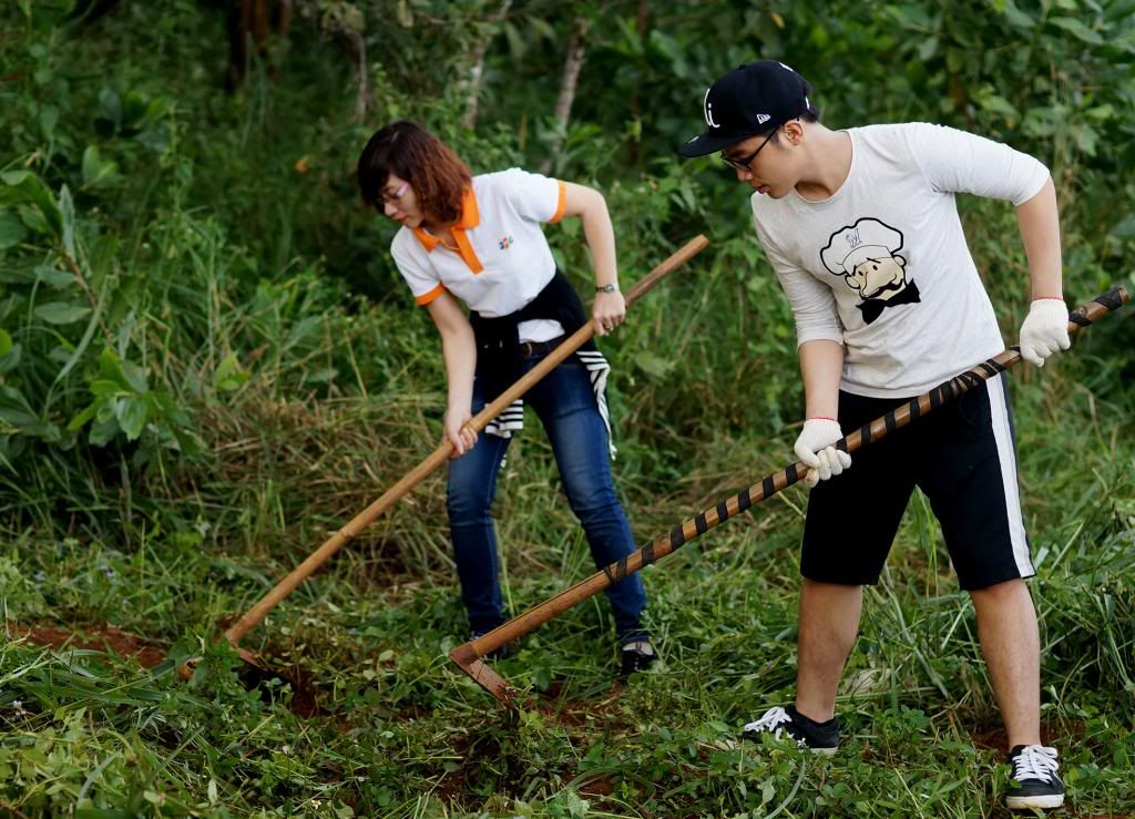 Cán bộ CTSV, Cao đẳng thực hành FPT Mạng cá cược bóng đá
 Hồ Chí Minh làm cỏ vườn