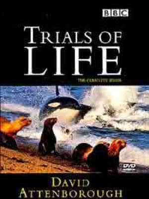 Lavidaaprueba - La vida a prueba (1990 serie documental naturaleza BBC) (DVDRip) (Castellano) (Emule)