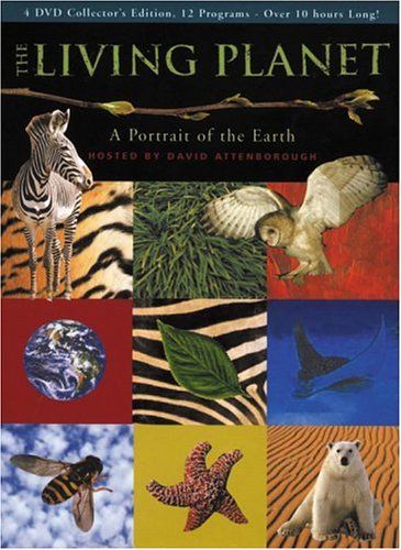 Planetaviviente - El planeta viviente (1984 serie documental Naturaleza BBC) (DVDRip) (Castellano) (Emule)