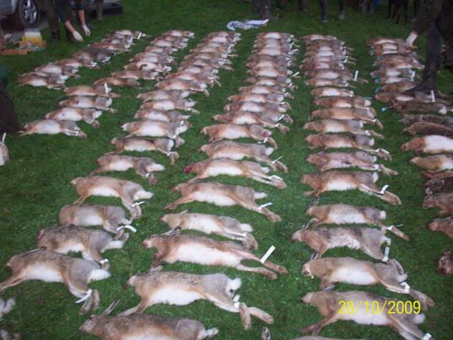 i1071.photobucket.com/albums/u511/zuban1/2-100_0724.jpg