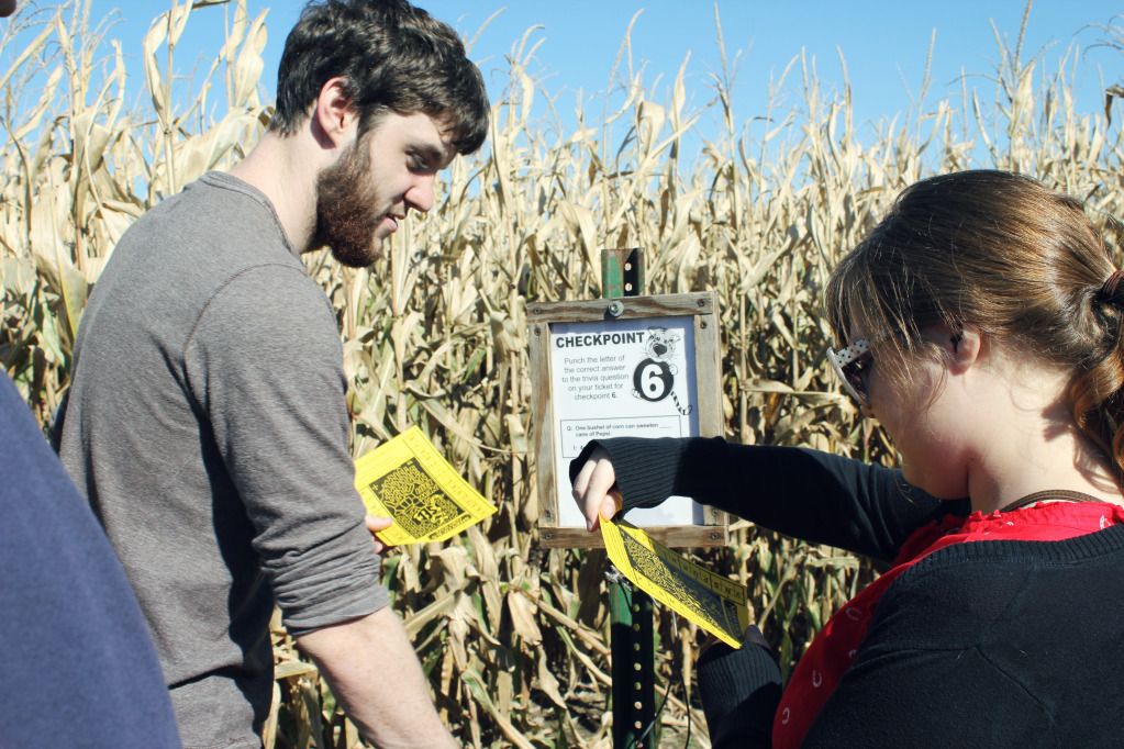 We LIve Upstairs The Corn Maze