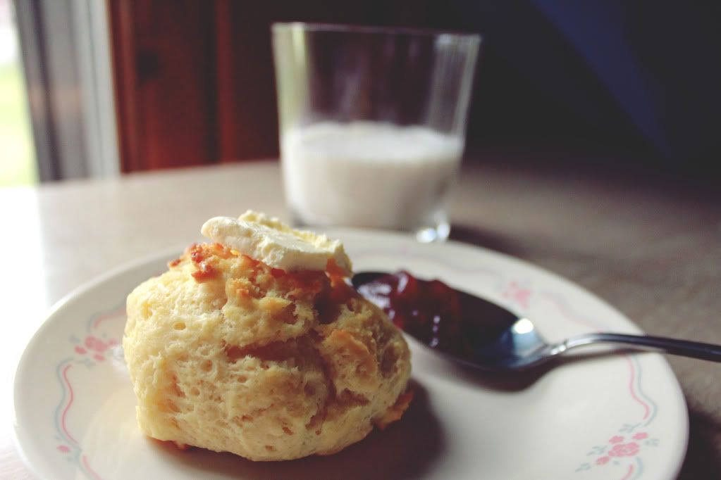 We Live Upstairs Buttermilk Biscuits Recipe