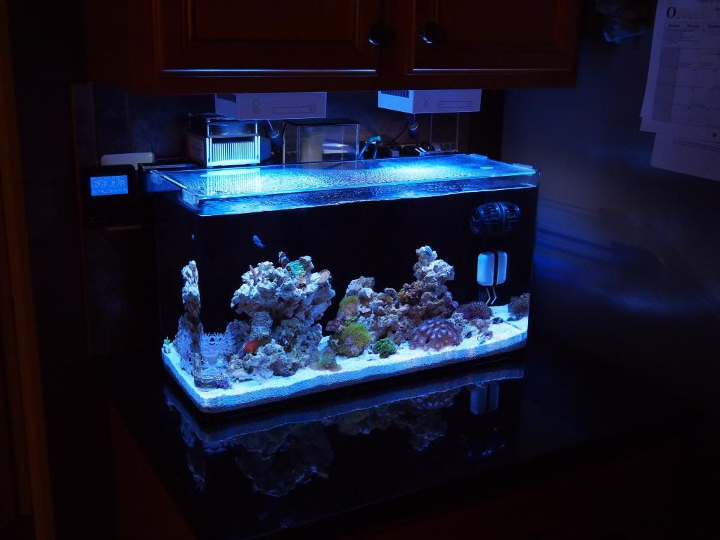 PA130011_zps2d43c360.jpg