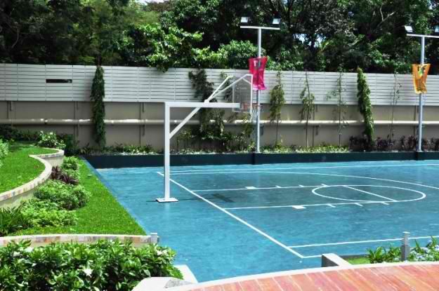 ILLUMINA BASKETBALL COURT