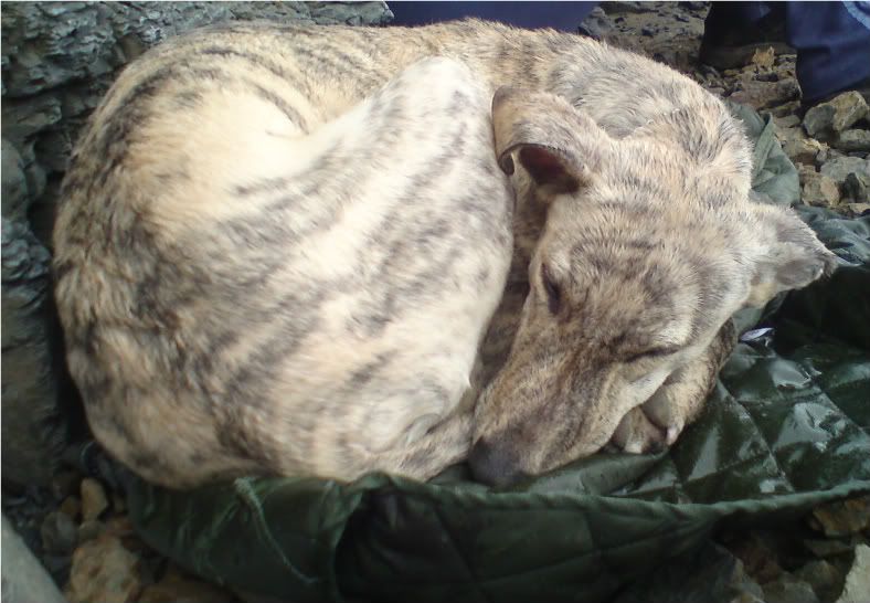 17-3-12033.jpg?t=1332023470