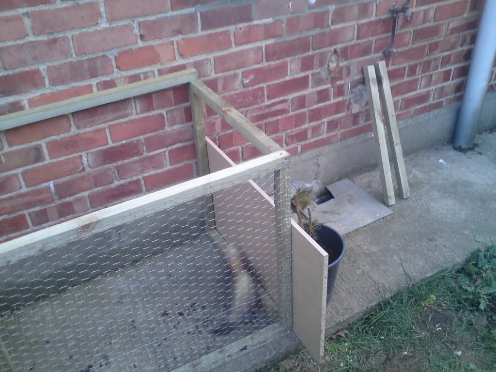 ferret005.jpg