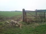 th_13-3-121007.jpg