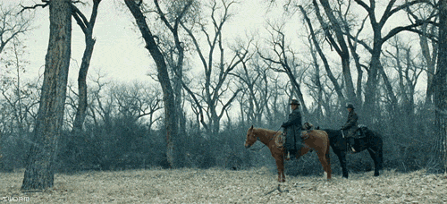 186635_galeri_21.gif