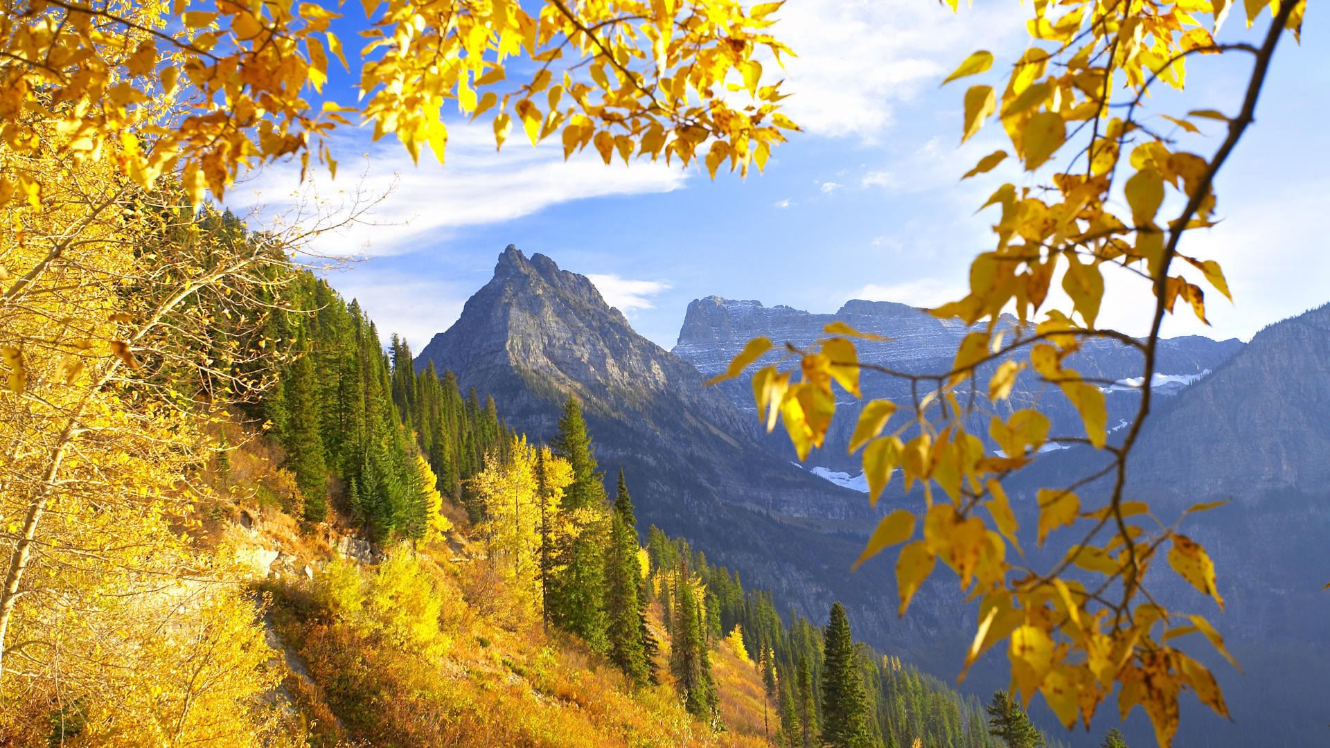 ComputerDesktopWallpapersCollection446_071.jpg