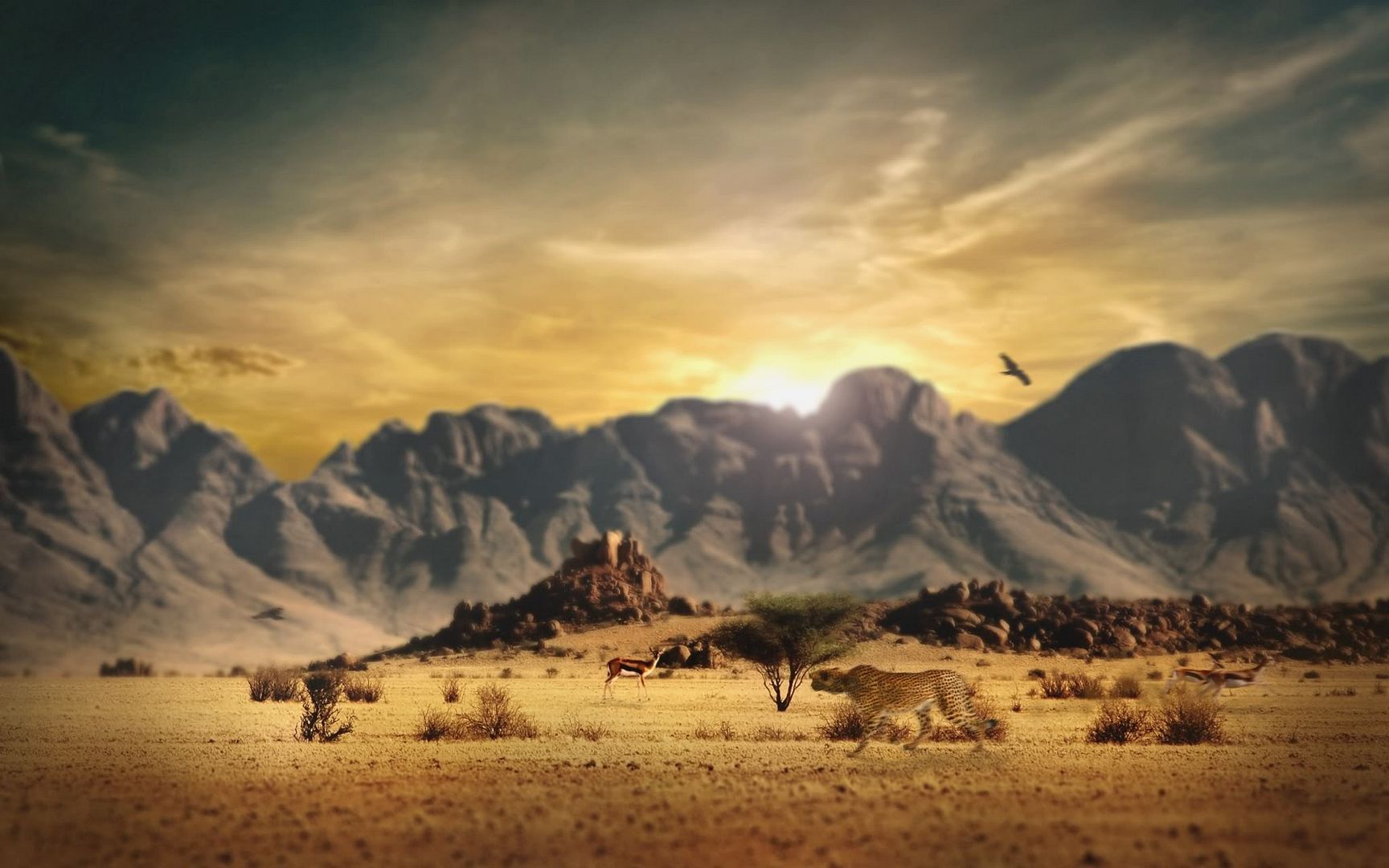 ComputerDesktopWallpapersCollection448_019.jpg