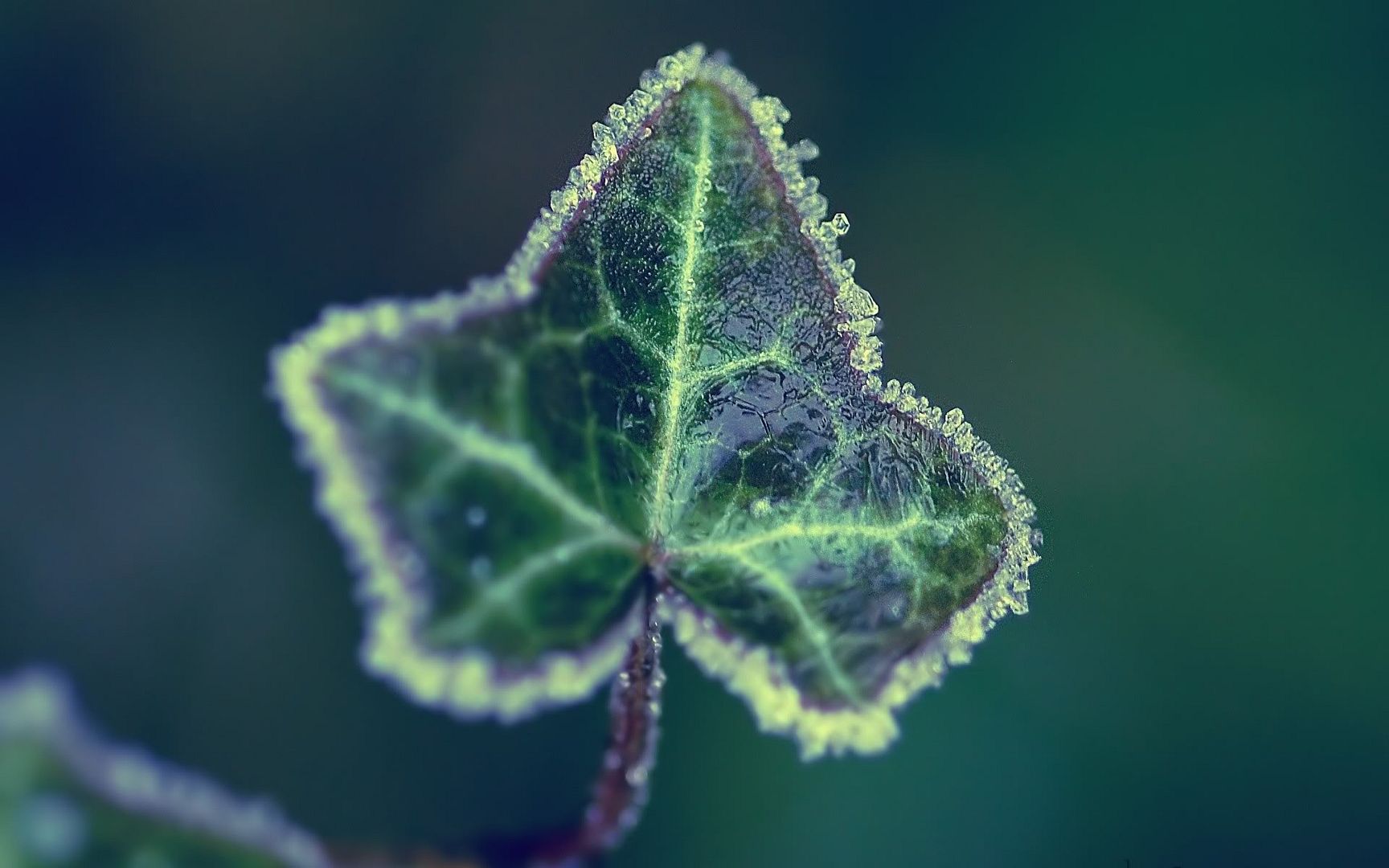 ComputerDesktopWallpapersCollection448_043.jpg