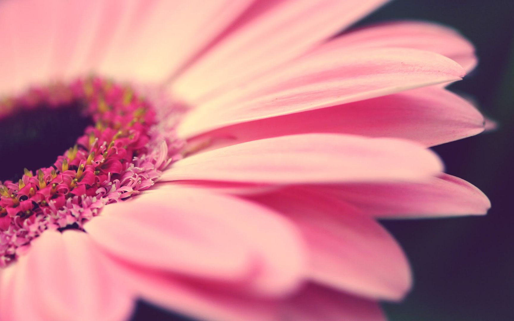 HDPackSuperiorWallpapers501_007.jpg