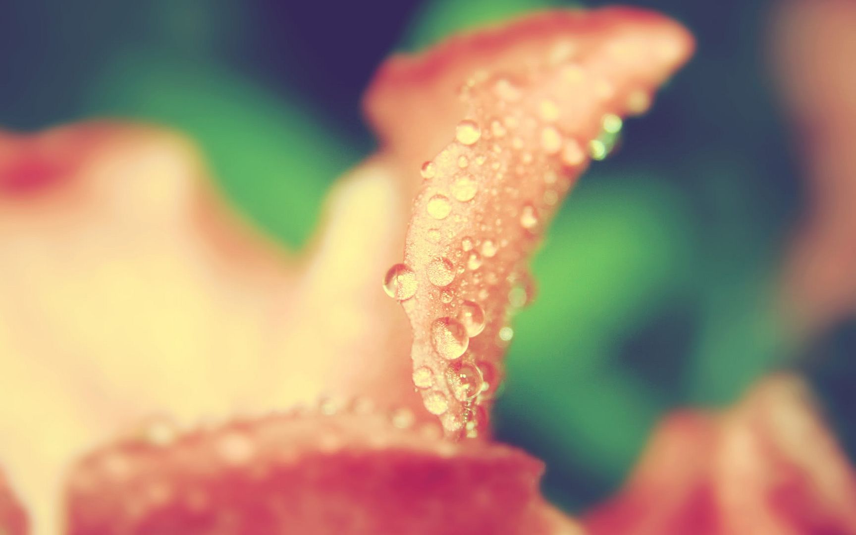 HDPackSuperiorWallpapers501_008.jpg
