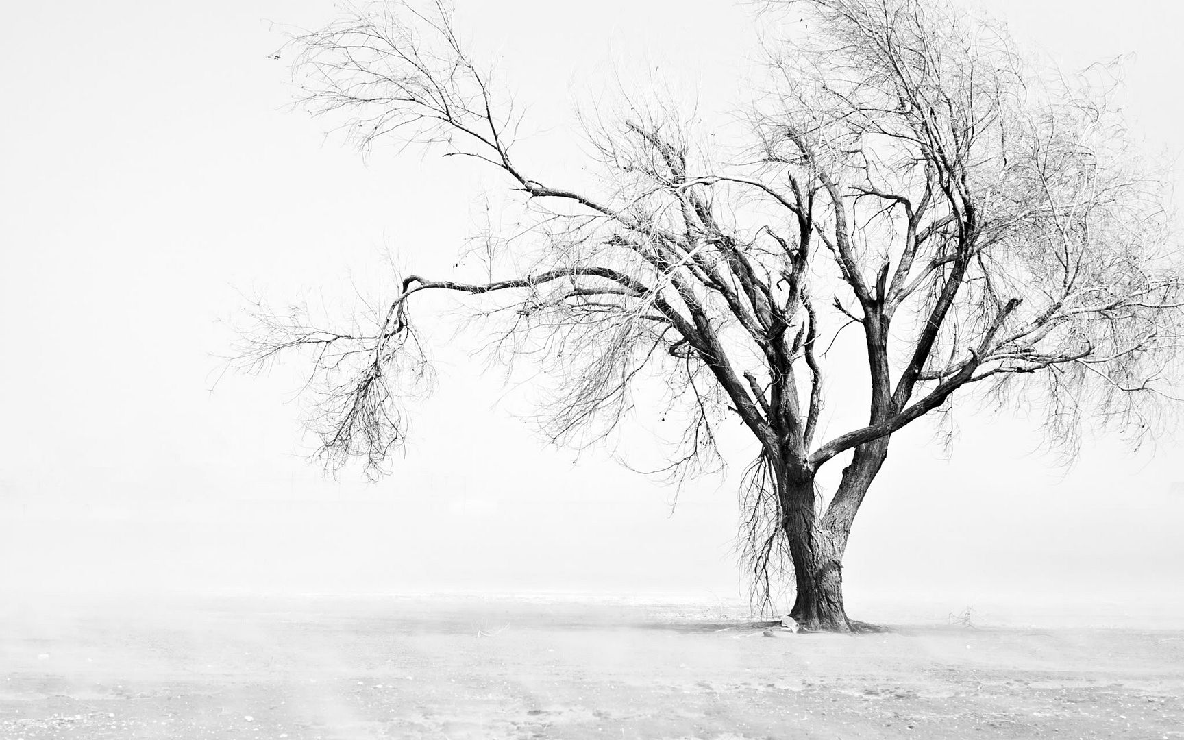 HDPackSuperiorWallpapers501_014.jpg