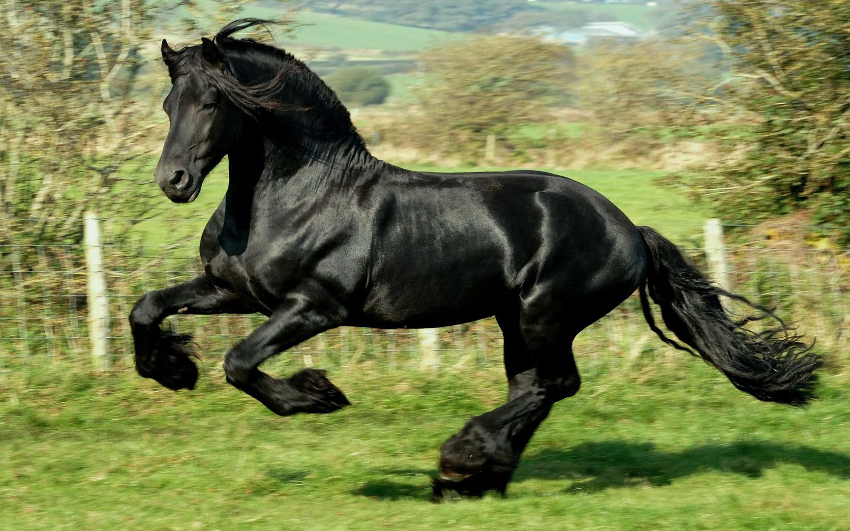 HDPackSuperiorWallpapers501_022.jpg