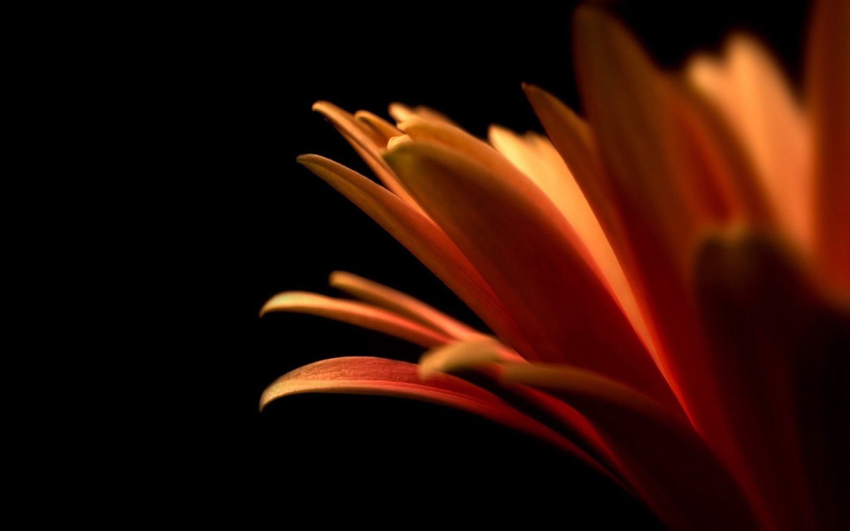 HDPackSuperiorWallpapers501_031.jpg