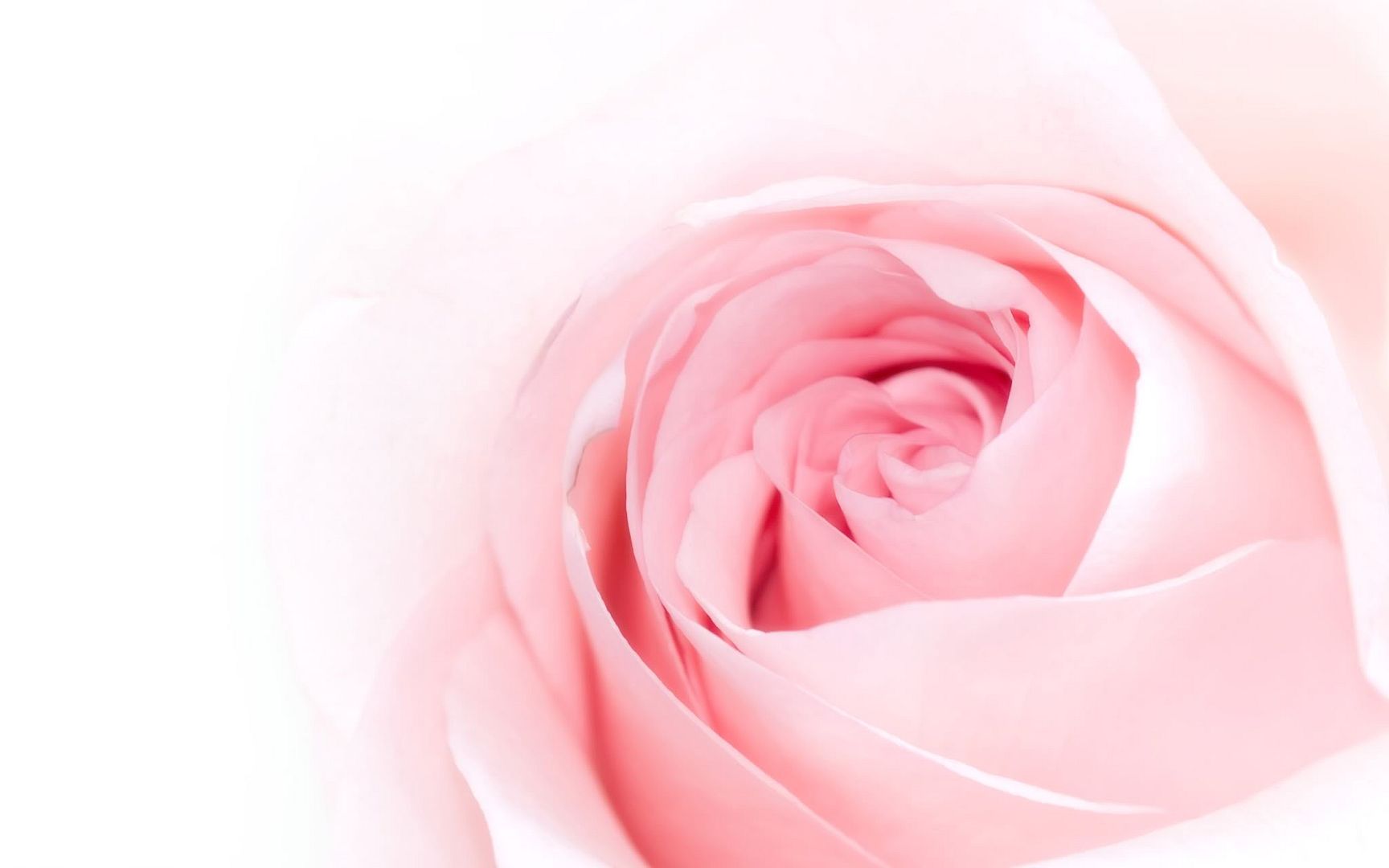 HDPackSuperiorWallpapers501_032.jpg