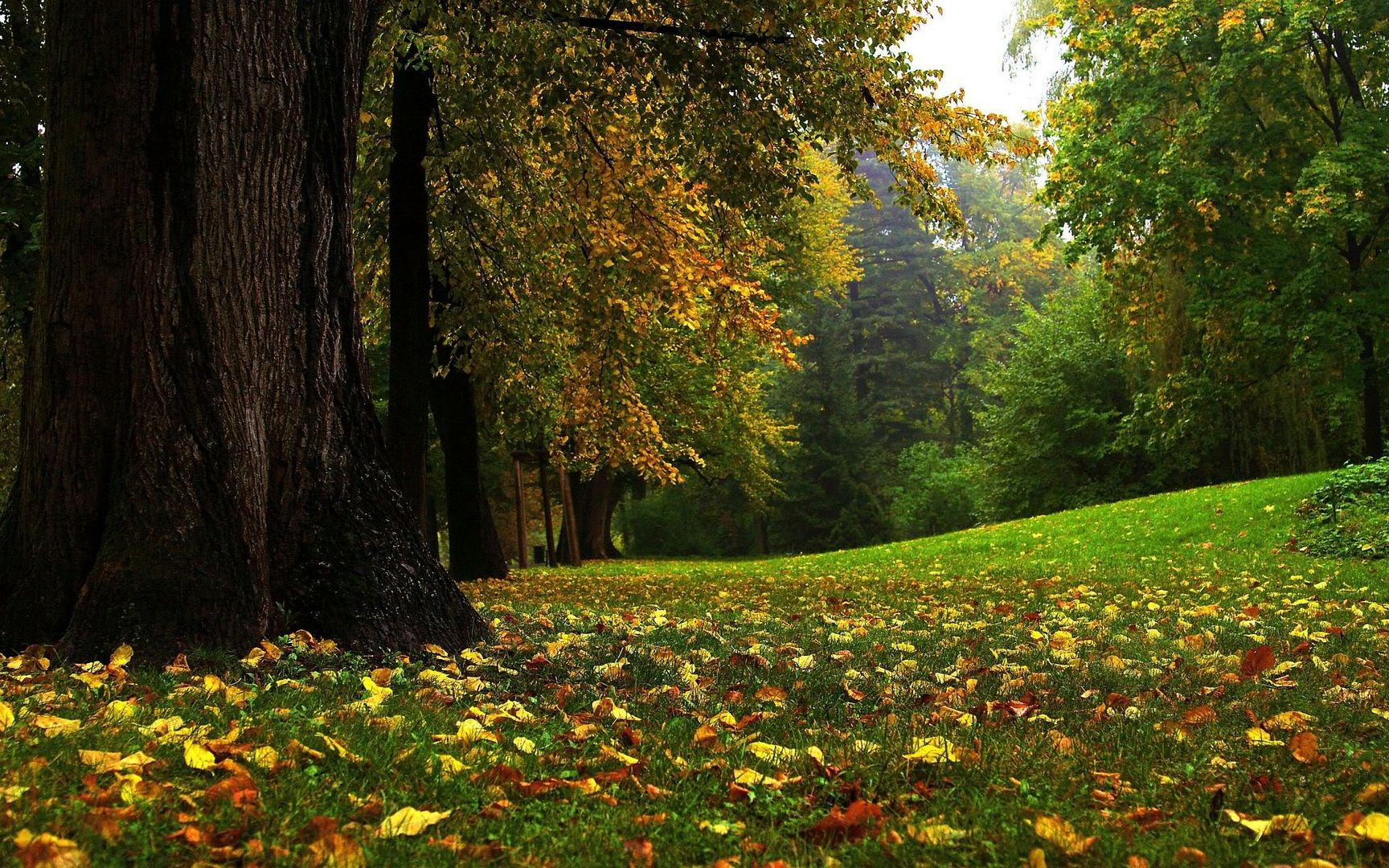 HDPackSuperiorWallpapers501_035.jpg