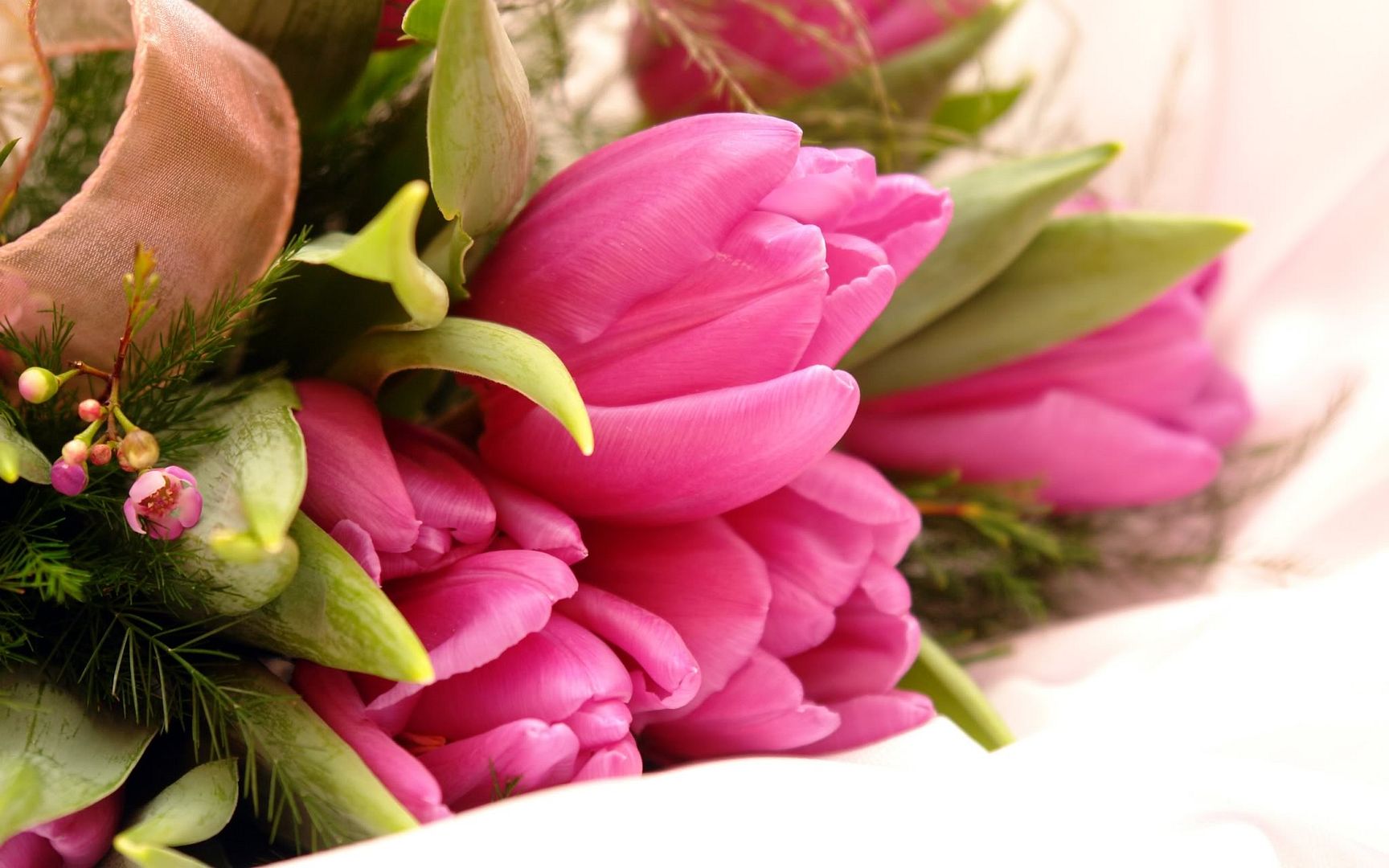 HDPackSuperiorWallpapers501_040.jpg