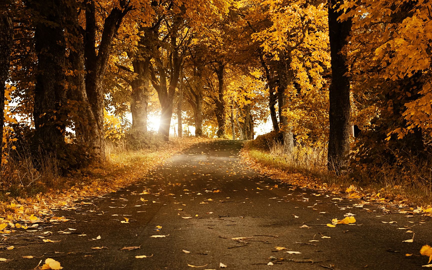 HDPackSuperiorWallpapers501_044.jpg