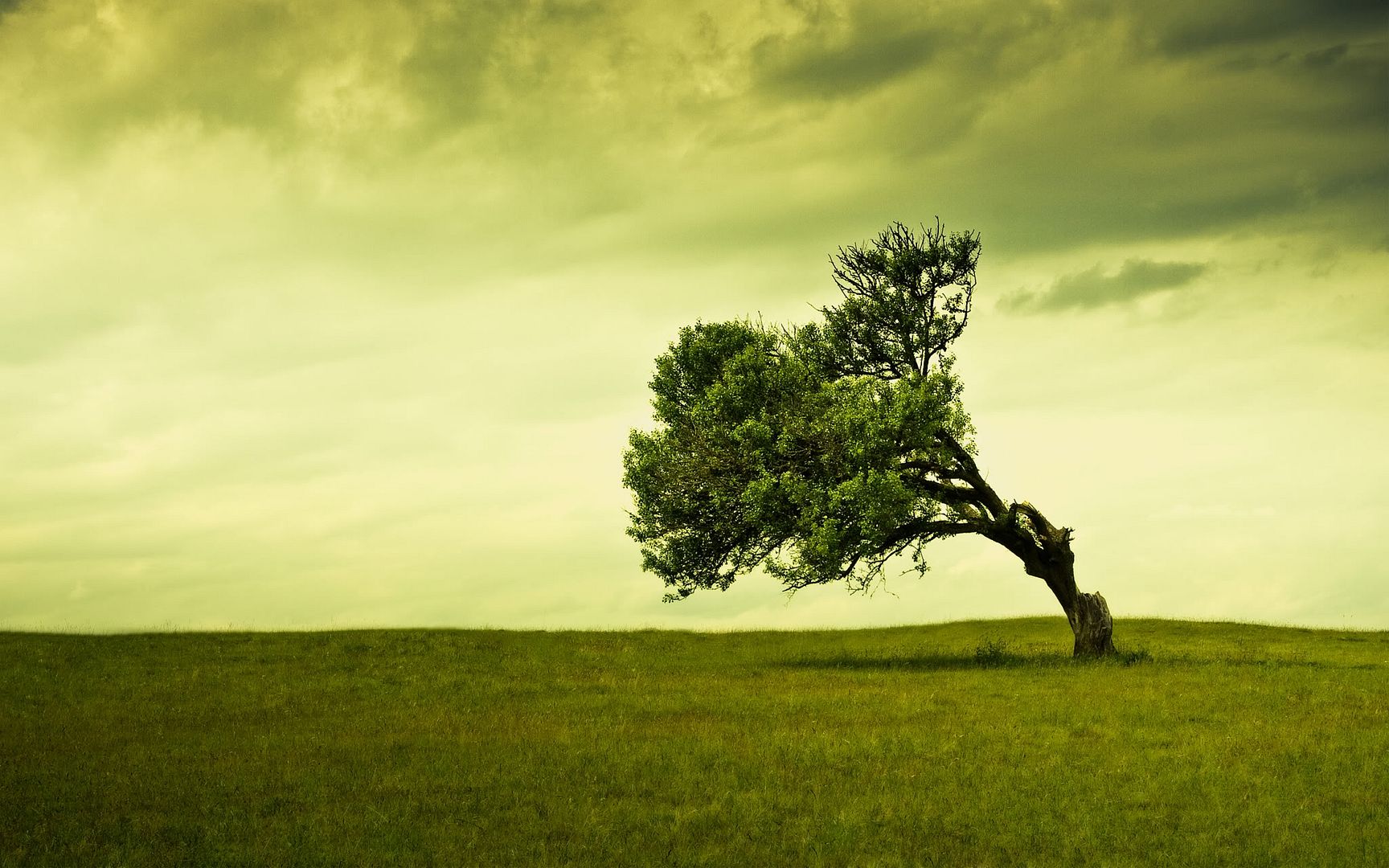 HDPackSuperiorWallpapers501_045.jpg