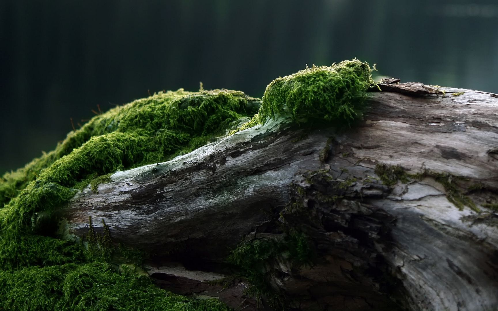 HDPackSuperiorWallpapers501_046.jpg