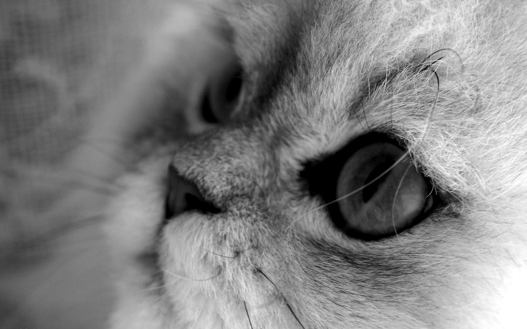 HDPackSuperiorWallpapers501_109.jpg
