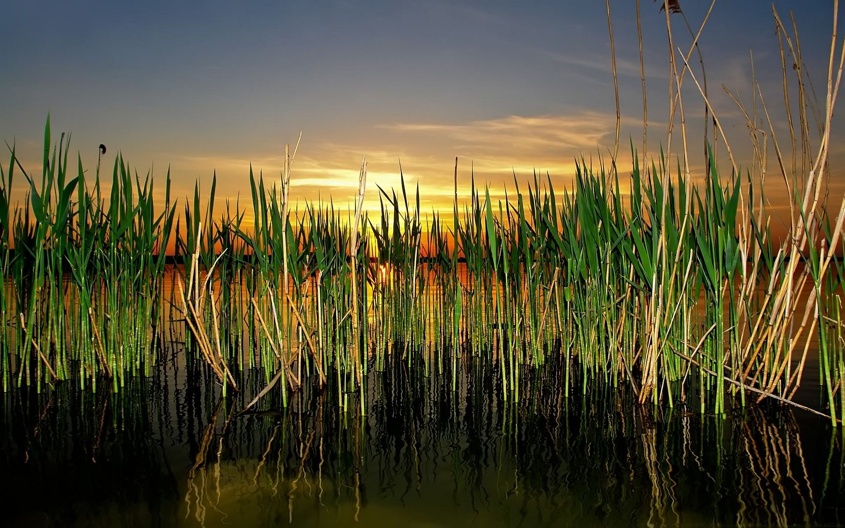 HDPackSuperiorWallpapers501_110.jpg