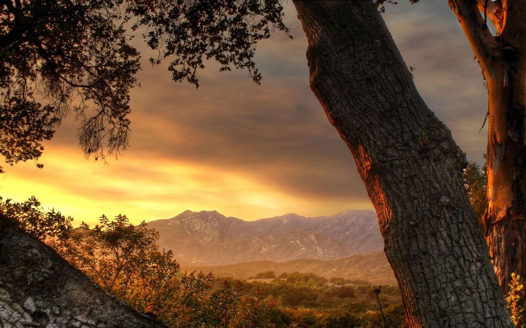 HDPackSuperiorWallpapers501_131.jpg