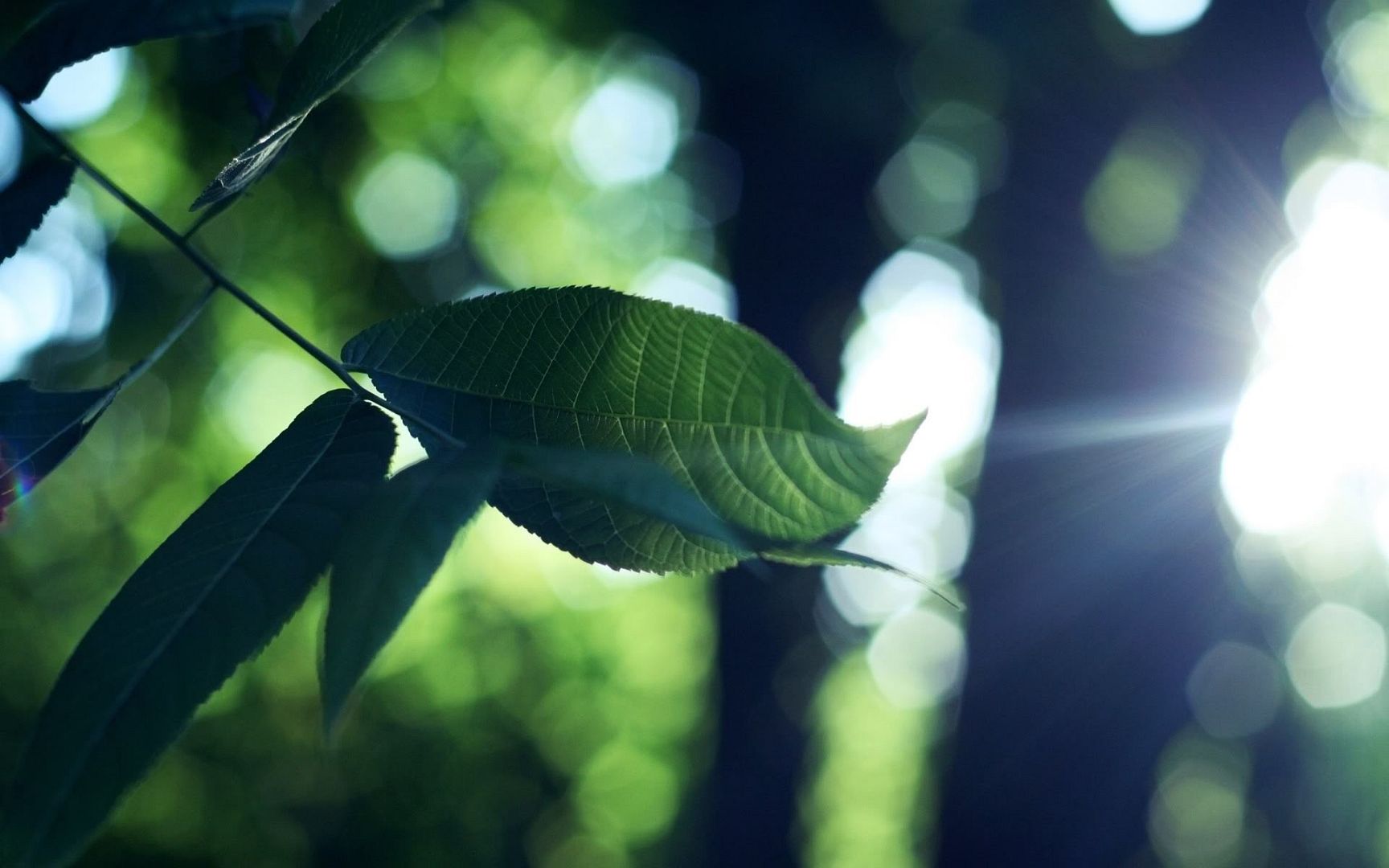 HDPackSuperiorWallpapers501_143.jpg