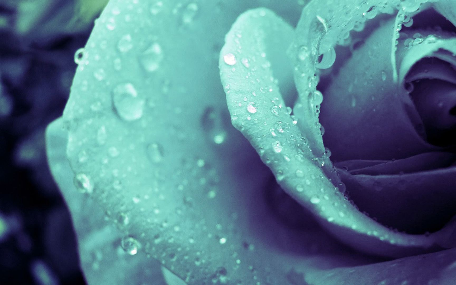 HDPackSuperiorWallpapers501_146.jpg