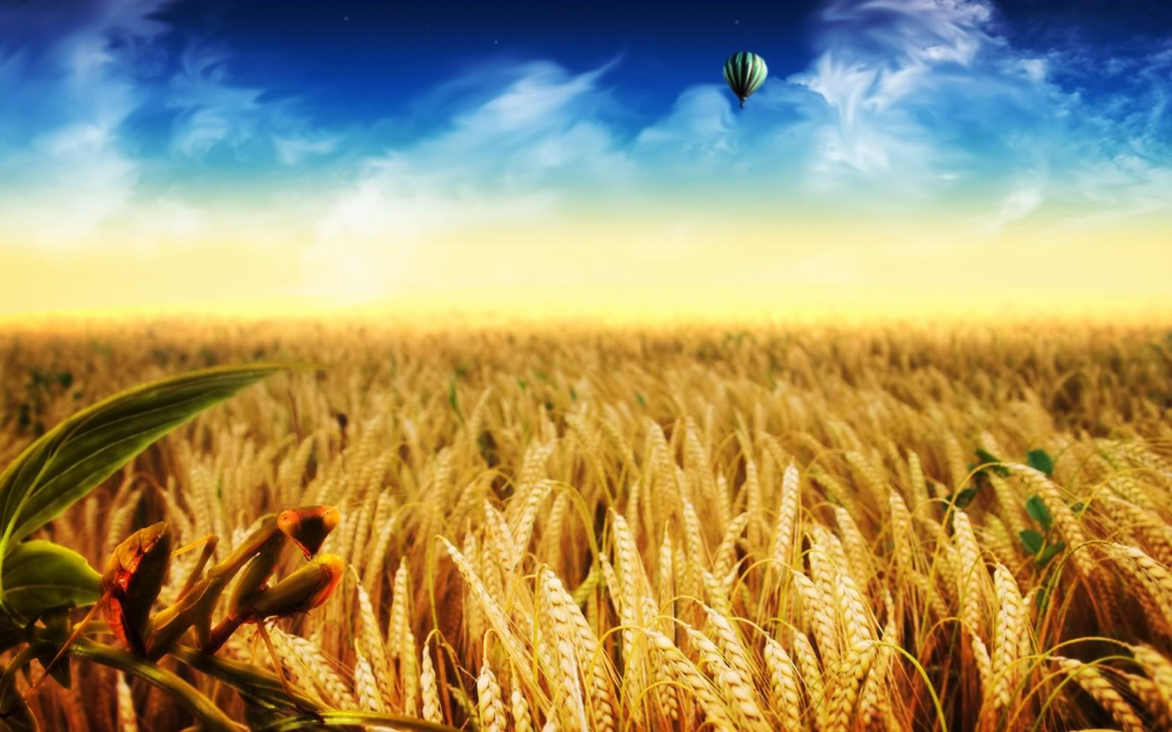 HDPackSuperiorWallpapers501_273.jpg
