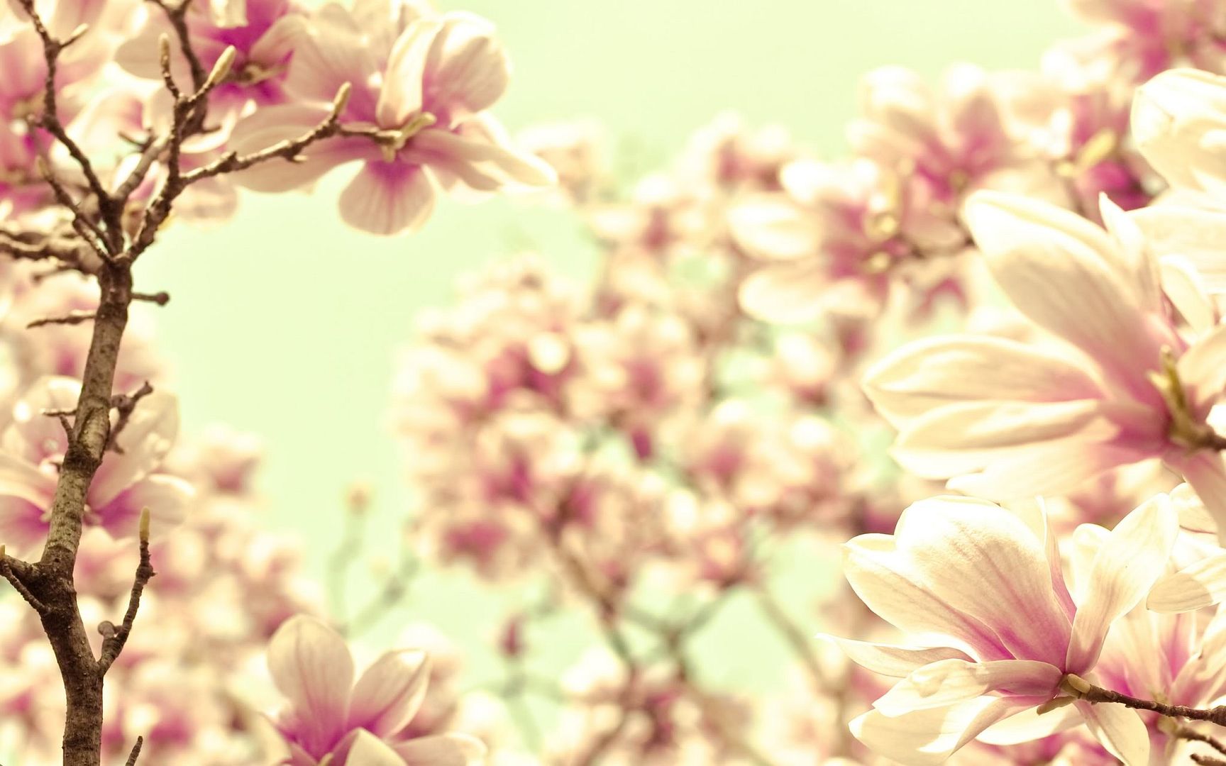 HDPackSuperiorWallpapers530_025.jpg