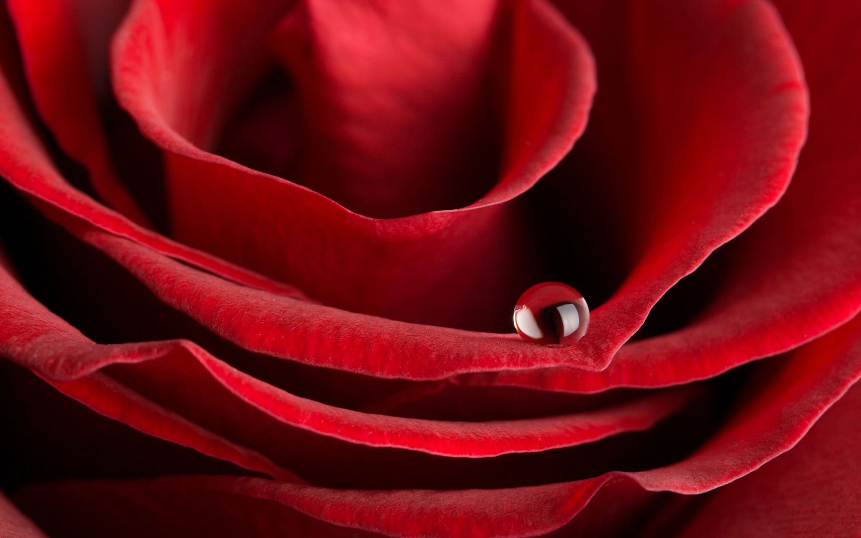 HDPackSuperiorWallpapers530_048.jpg