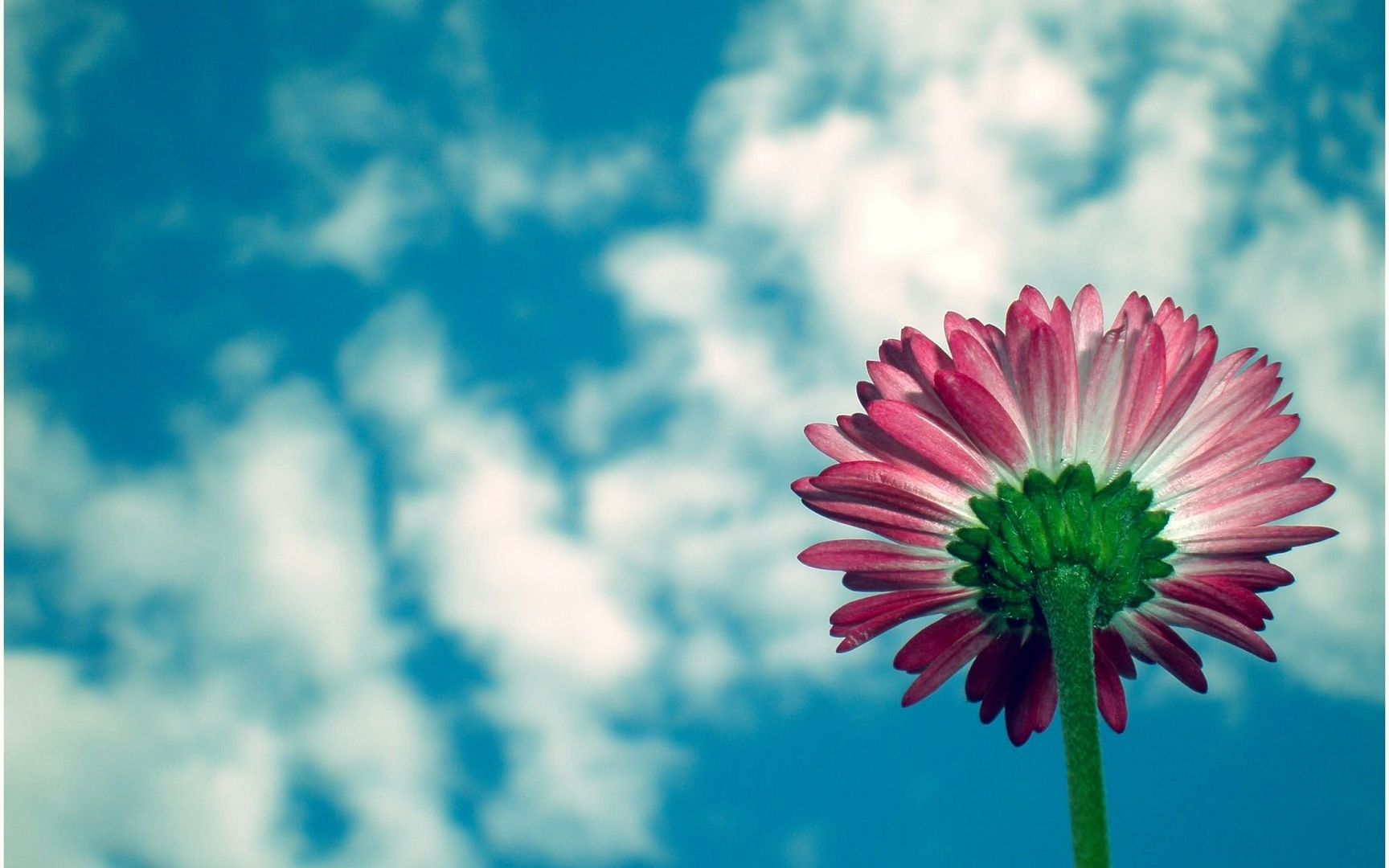 HDPackSuperiorWallpapers530_055.jpg