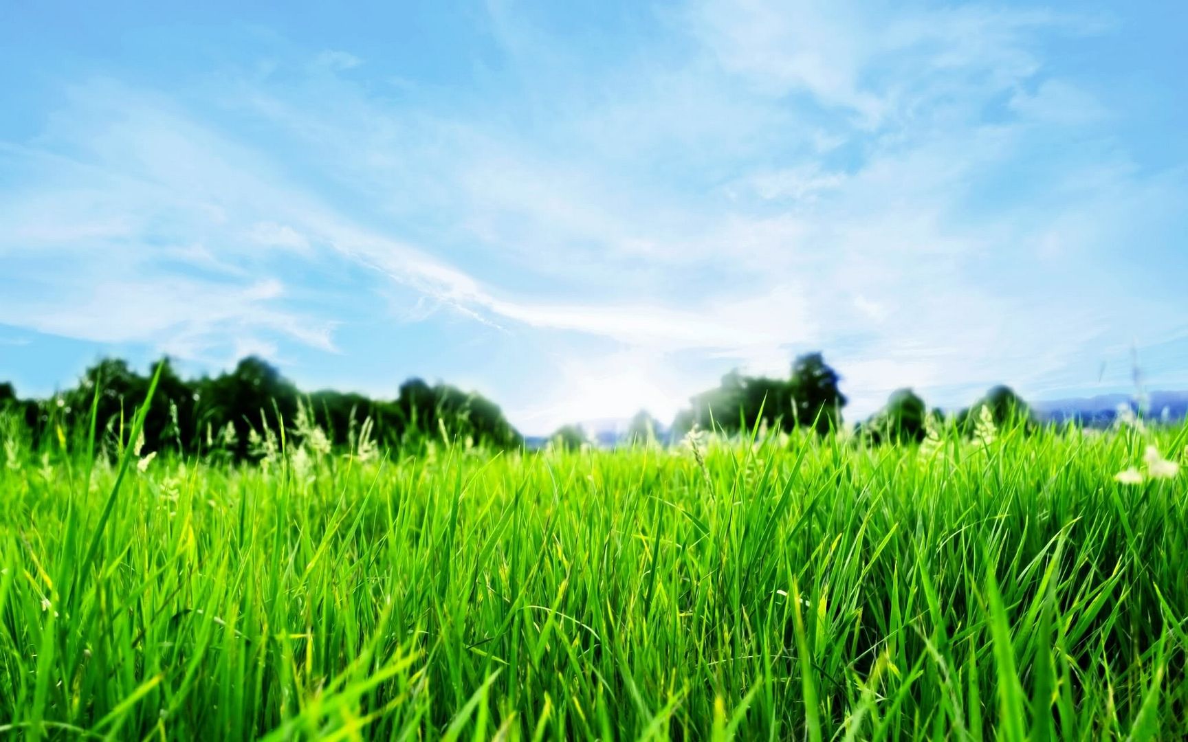 HDPackSuperiorWallpapers530_070.jpg