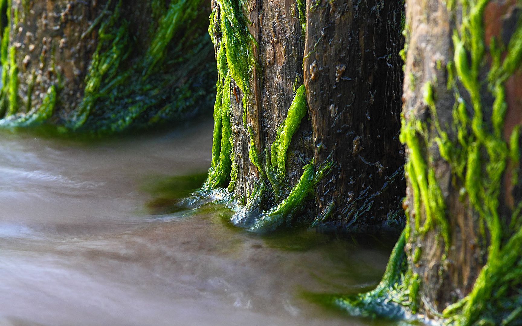 HDPackSuperiorWallpapers530_143.jpg