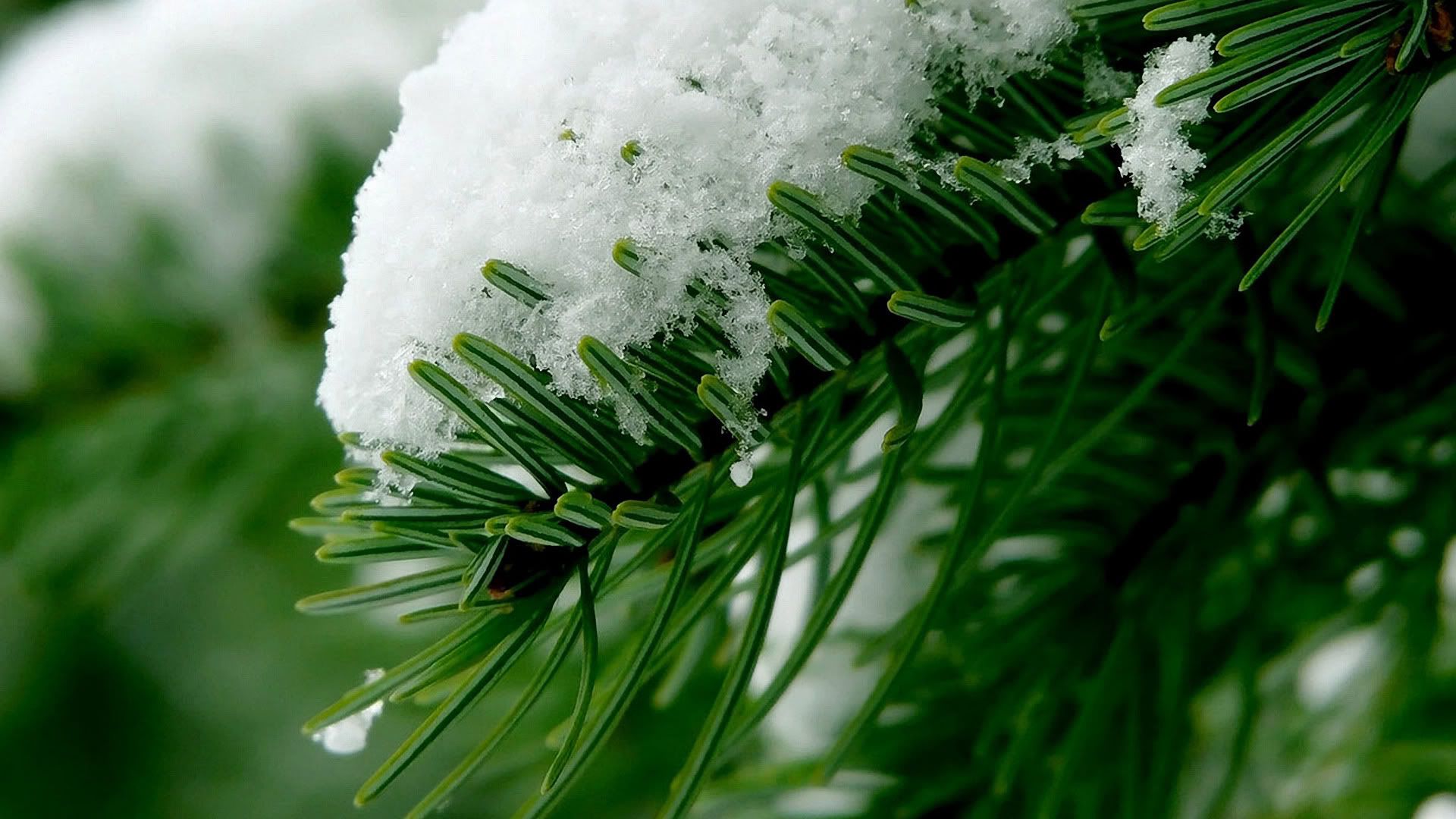 HDPackSuperiorWallpapers530_205.jpg