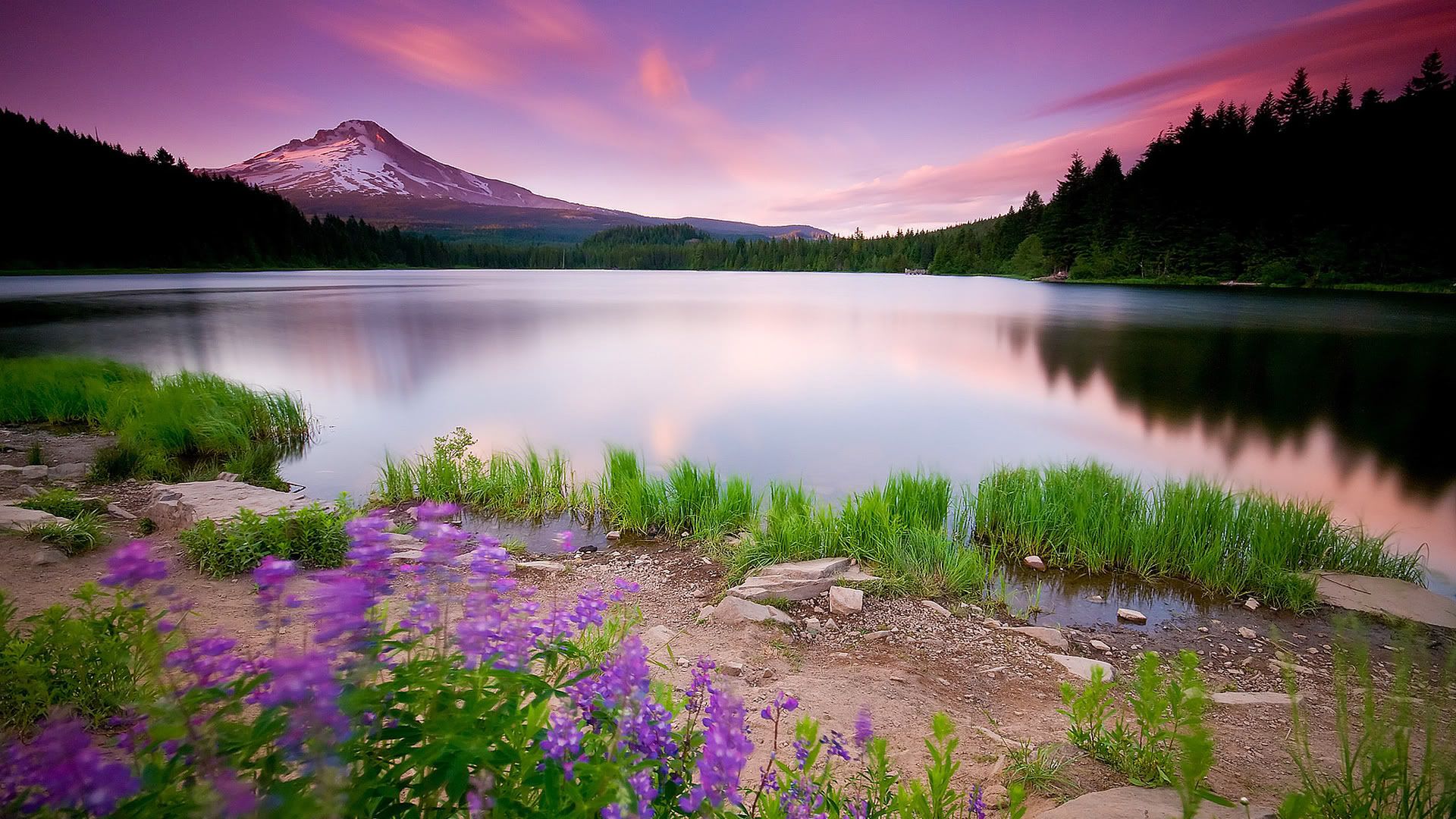 HDPackSuperiorWallpapers530_217.jpg