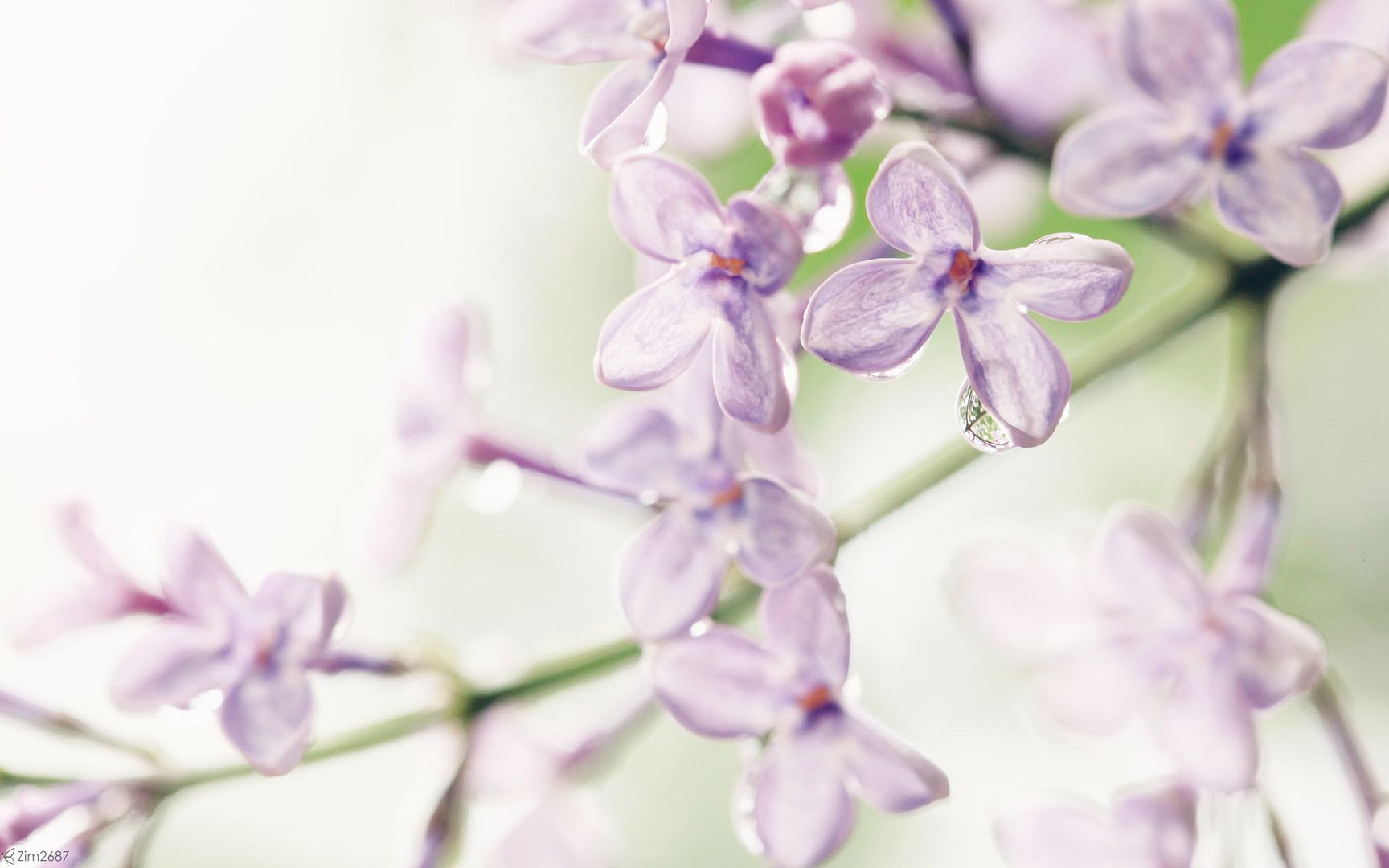 HDPackSuperiorWallpapers531_017.jpg