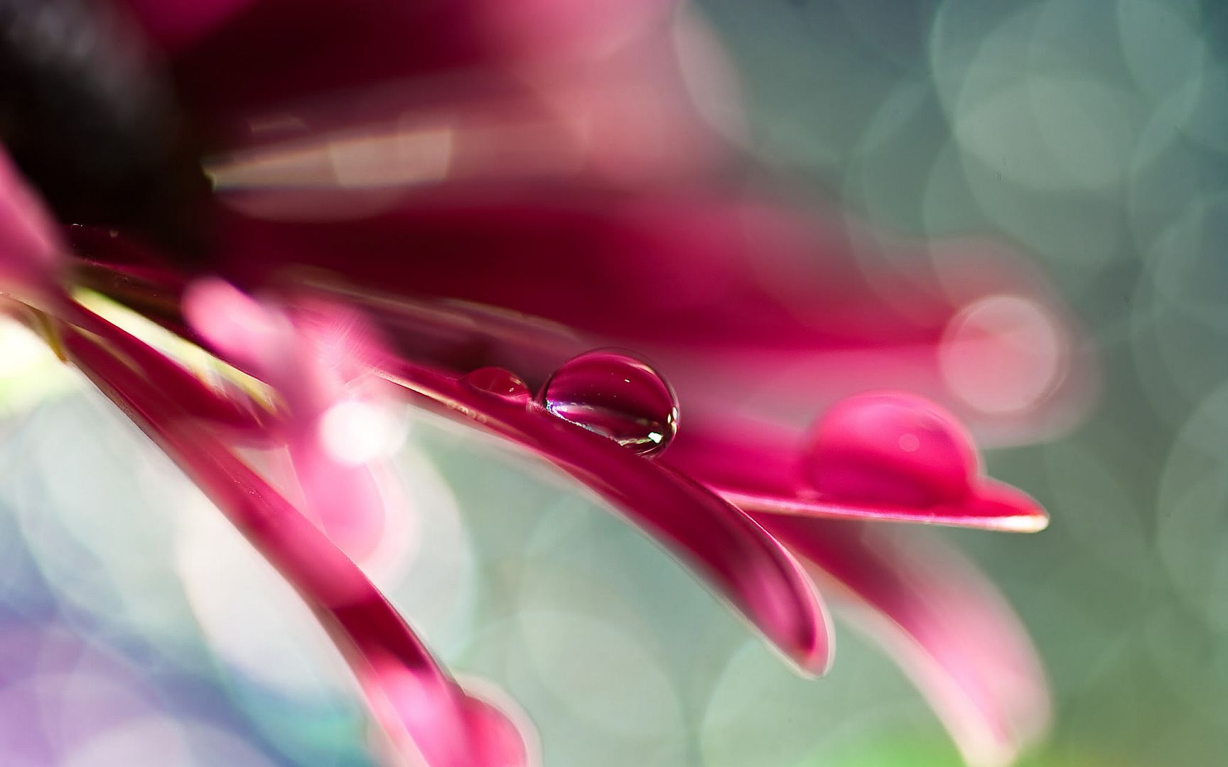 HDPackSuperiorWallpapers531_019.jpg