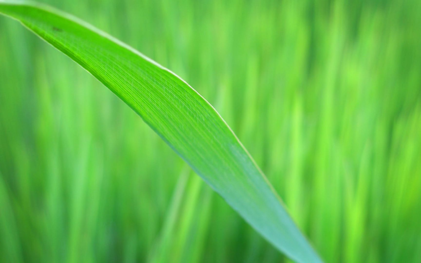 HDPackSuperiorWallpapers531_051.jpg