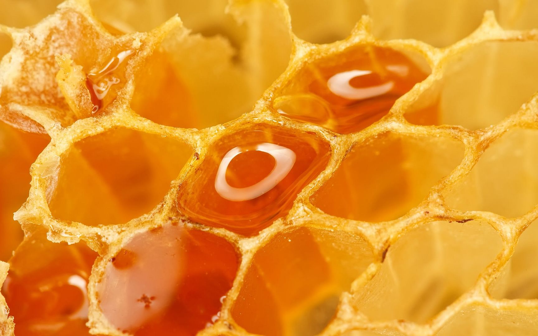 HDPackSuperiorWallpapers531_060.jpg