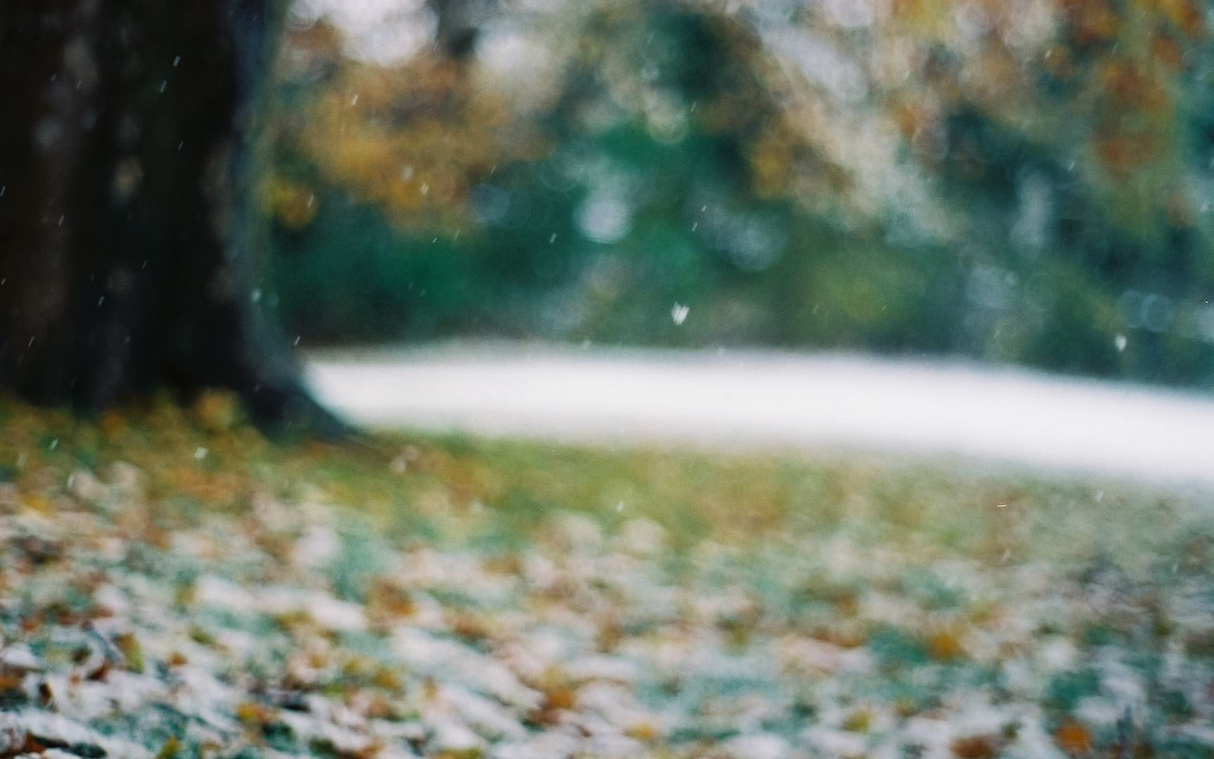 HDPackSuperiorWallpapers531_067.jpg