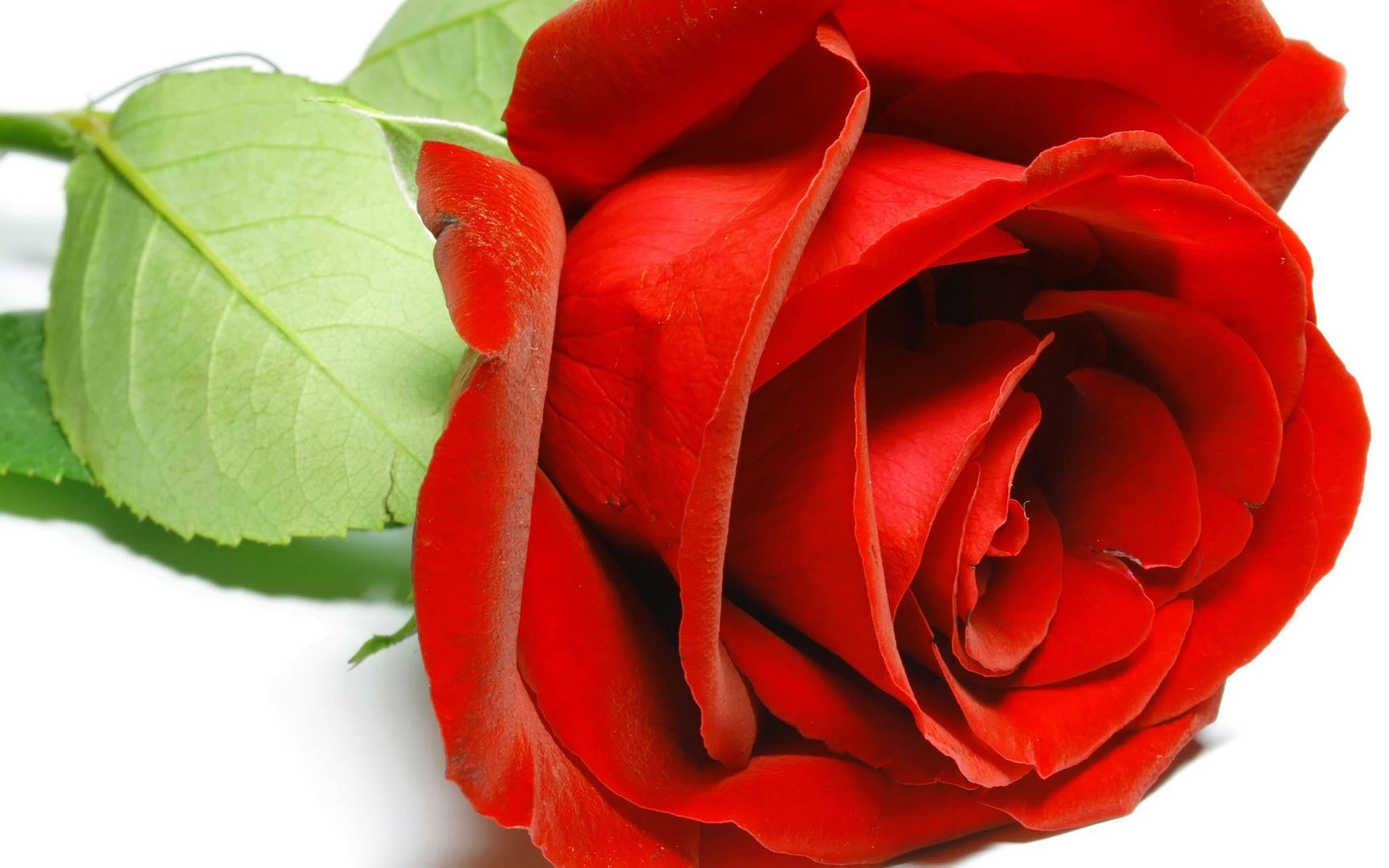 HDPackSuperiorWallpapers531_070.jpg