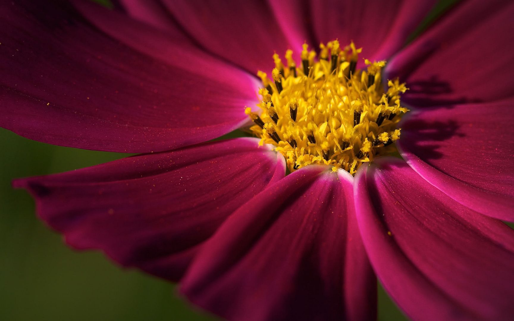 HDPackSuperiorWallpapers531_076.jpg