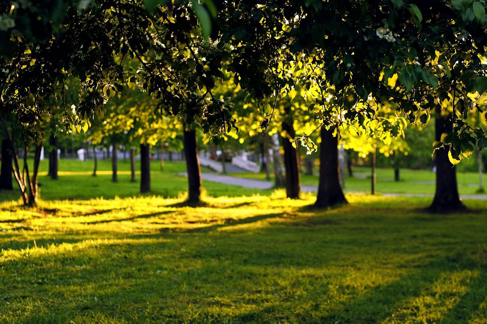 HDPackSuperiorWallpapers531_087.jpg