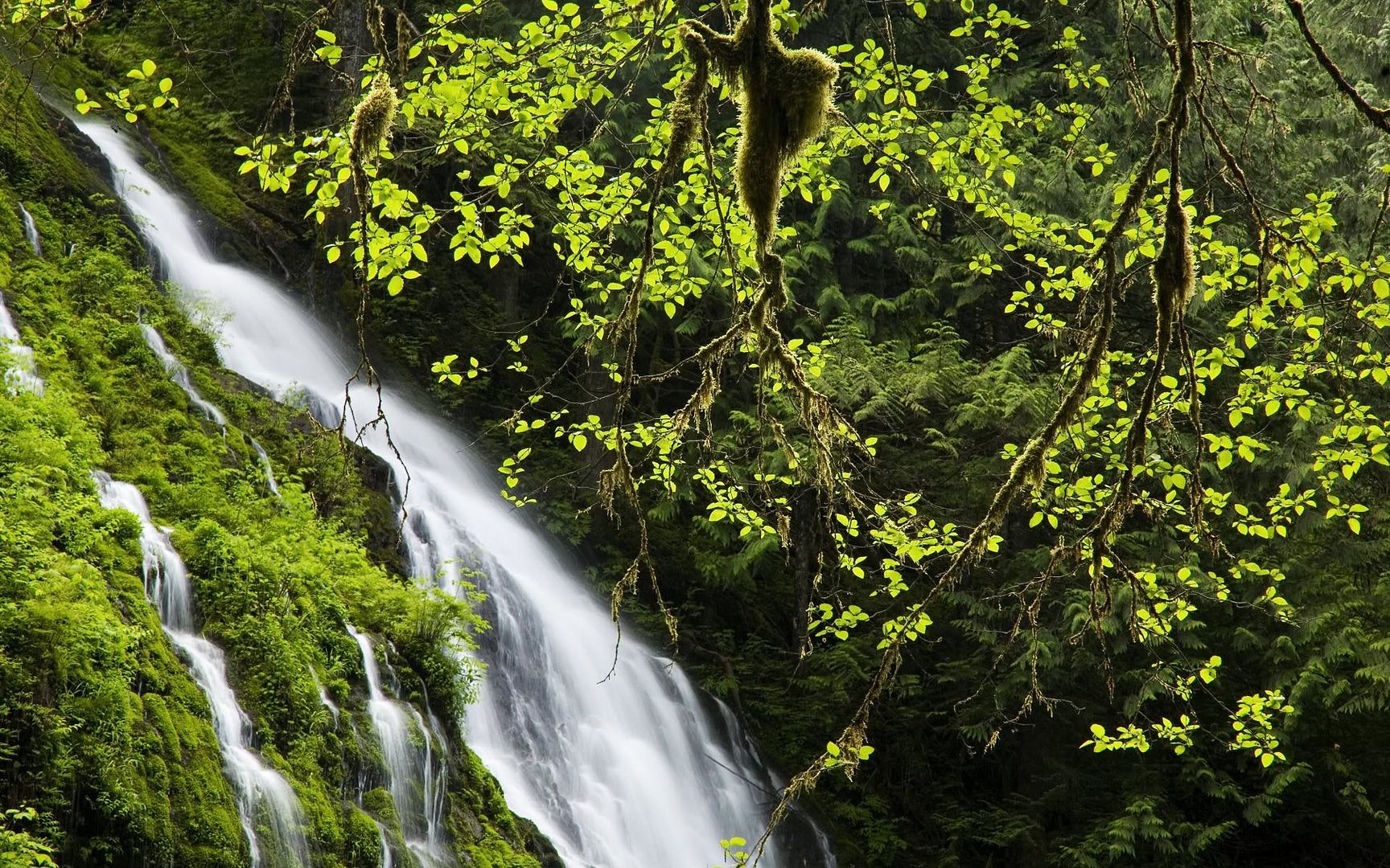 HDPackSuperiorWallpapers531_125.jpg